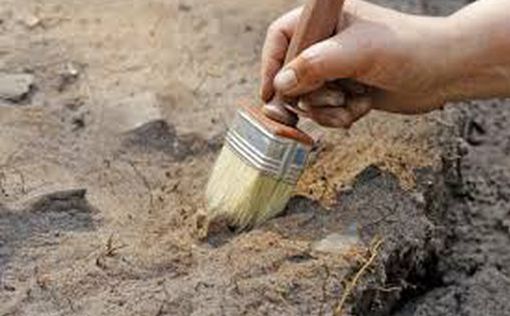 Волонтер обнаружил древнюю украшенную чашу на раскопках в Хирбет Каяфа