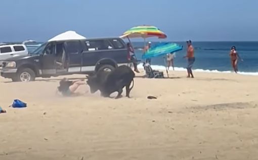 Ужас на пляже: бык напал на отдыхавшую туристку