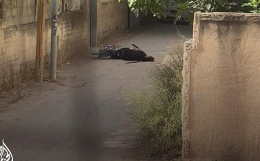 В Дженине убиты и ранены десятки террористов