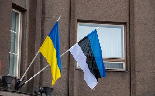 Эстония позволит изъять активы России в пользу Украины