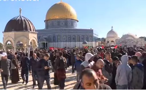 МИД ОАЭ: Решение Трампа по Иерусалиму - подарок террористам