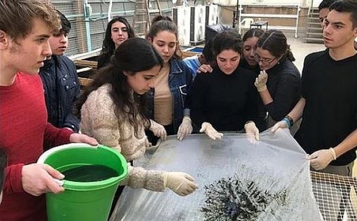 Проект израильских школьников поможет в борьбе с голодом