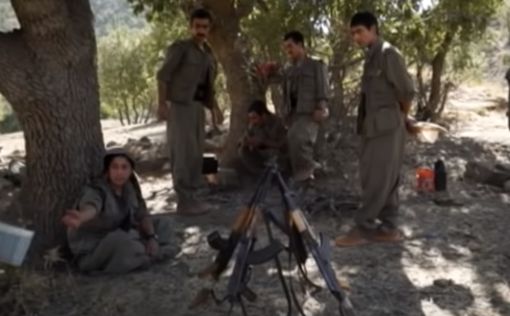 Турция ликвидировала 43 курдских боевика