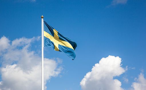 Опрос: Партия, выступающая за выход из ЕС, лидирует в Швеции