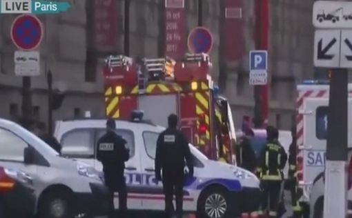 На входе в Лувр обезврежен террорист с ножами и мачете