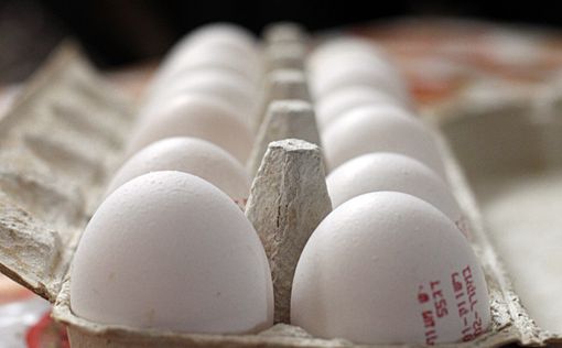 Три процента яиц в Израиле заражены сальмонеллой