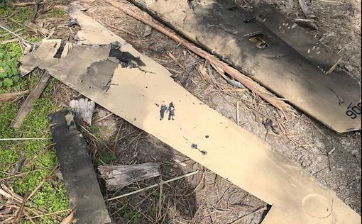 ЦАХАЛ опубликовал снимки сбитого иранского дрона