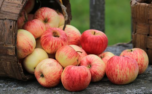 В яблоках обнаружен смертоносный компонент