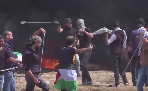 Израильские фермеры подают в Гаагский суд на ХАМАС