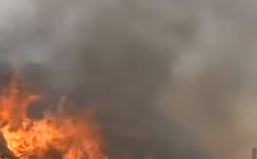 10 добровольцев из США спасают Израиль от поджогов