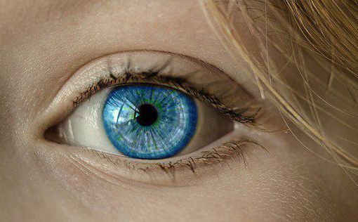 Ученые могут дать возможность слепым снова видеть