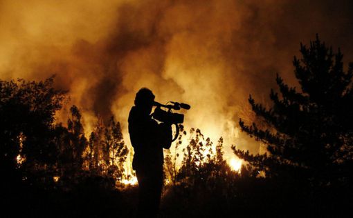 Пожар в Чили: 100 домов уничтожено, 19 человек пострадали