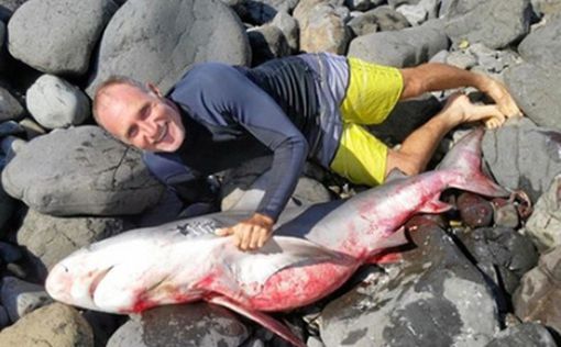 Австралиец приволок на берег напугавшую его акулу