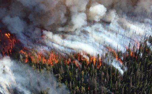 Лесной пожар в Китае унес жизни 19 пожарных
