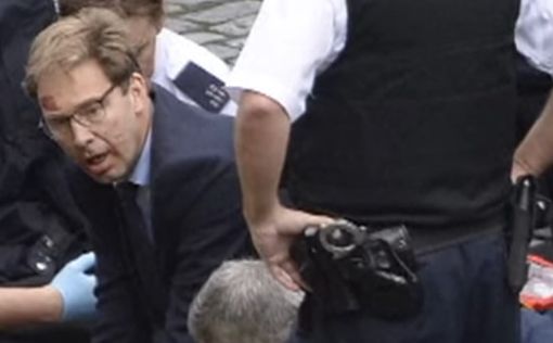 Лондон: парламентарий пытался спасти раненого полицейского