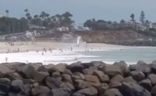 На загоравших на пляже в Калифорнии упал самолет