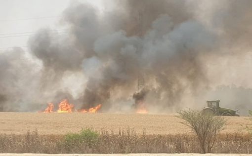 В Израиле бушуют пожары