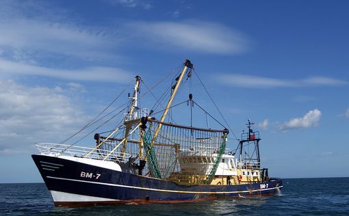 Запрещен вылов рыбы на средиземноморском побережье Израиля