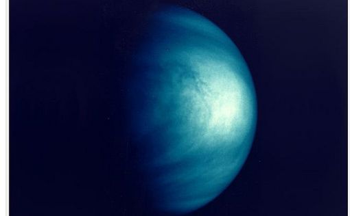 В атмосфере Венеры могут обитать микроорганизмы