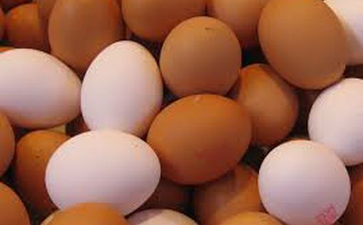 Израиль получит десятки тонн яиц из Украины