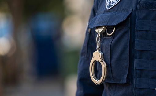 Масштабная операция против оргпреступности: задержания и рейды в Вади-Ара | Фото: © Фото: Gemini