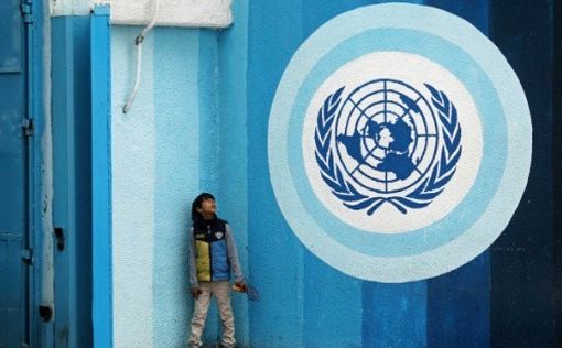 Египет и Иордания проведут экстренную конференцию по UNRWA