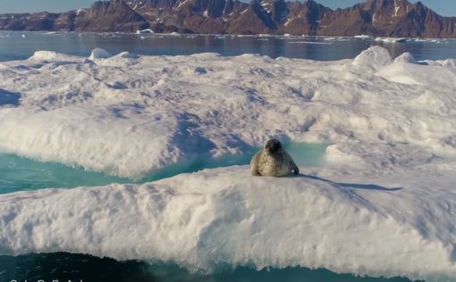 Таяние льдов Антарктиды нарастает с большой скоростью