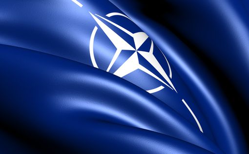 Членство Черногории в НАТО все ближе