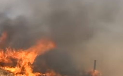 Из Газы выпущены шары - в лесу Беэри вспыхнули пожары