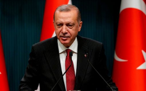 Эрдоган будет судиться с журналистами из-за "оскорбления"