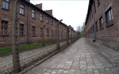 Итальянских фанатов отправят в концлагерь Освенцим