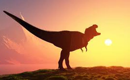 Найдены "куриные" следы динозавра из Юрского периода