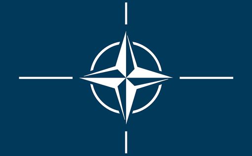 Операция Турции: в НАТО приняли меры
