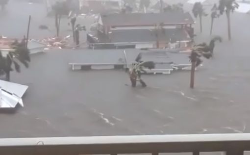 В США шторм "Майкл" унес жизни 11 человек