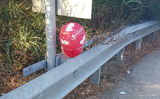 В Израиле приземлился воздушный шар с бомбой и посланием