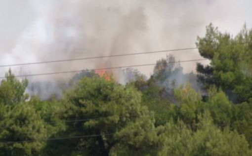 Израиль предложил Греции помощь в борьбе с пожарами