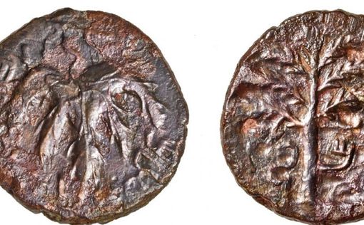 В пещере к северу от Модиина найдена редкая еврейская монета