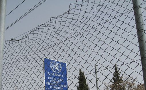 Агентство ООН обнаружило туннель боевиков под школой в Газе