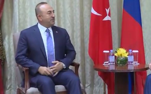 МИД Турции: Эрдоган и Путин возможно проведут переговоры
