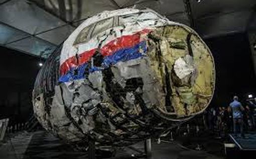 Суд по MH17: самолет сбили по ошибке