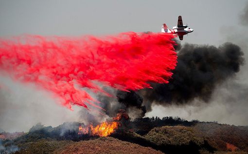 В Калифорнии арестован виновник масштабного лесного пожара