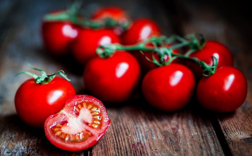 Ученые рассказали, чем так полезны помидоры