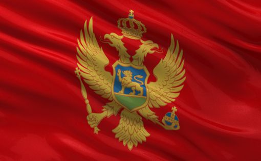 Через год Черногория может вступить в НАТО