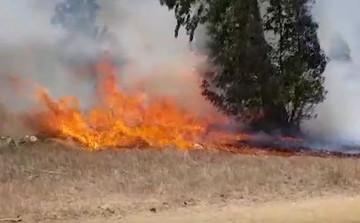 В Эшколе вспыхнули лесные пожары