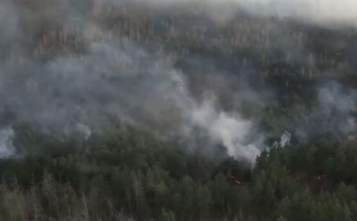 Ради забавы: найден поджигатель леса в Чернобыльской зоне