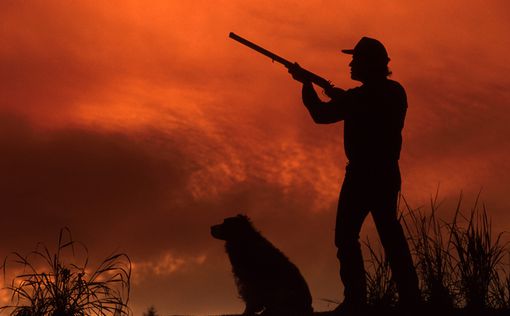 В России собака застрелила хозяина-охотника