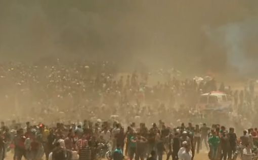 МИД Индии обеспокоен в связи с протестами в Газе
