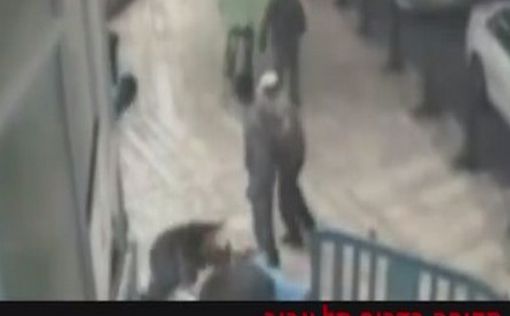 Тель-Авив: суданец атаковал помощницу депутата НДИ