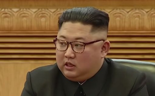 СМИ: Ким Чен Ын в состоянии "овоща"