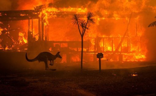 В Австралии взяли под контроль крупнейший из пожаров